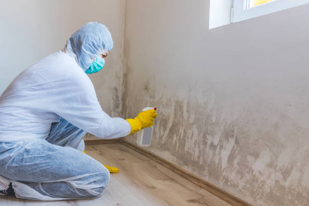 Crawl Space Mold Remediation treatment of floor joists in Seaside Heights